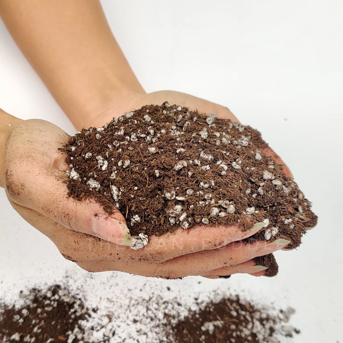 blend of peat and perlite in hand