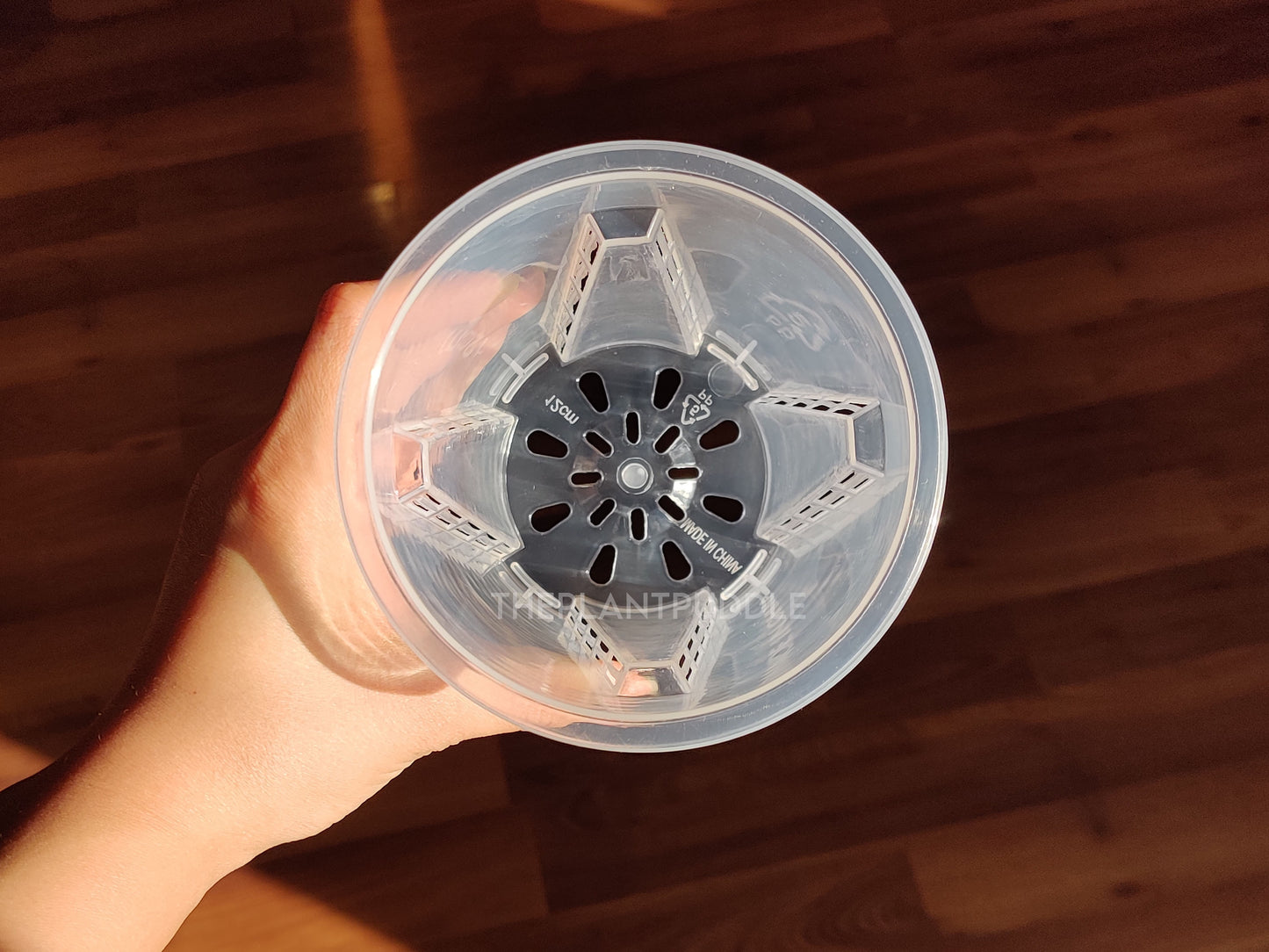 inside view of tall clear pot