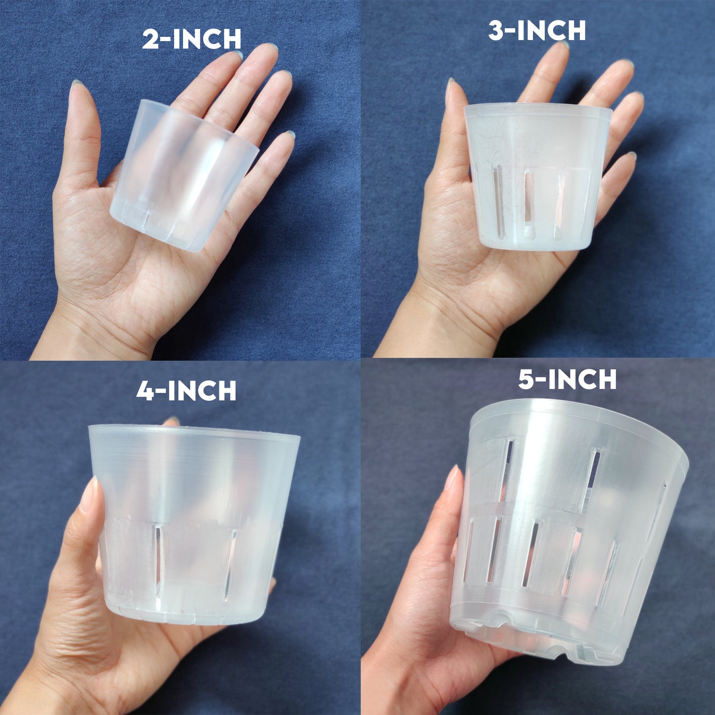 4 sizes of clear plastic plant pots held in hand as a size reference