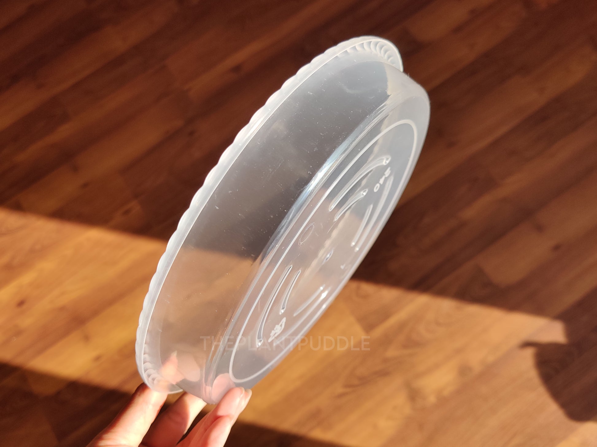 bottom of a clear plastic plant pot saucer