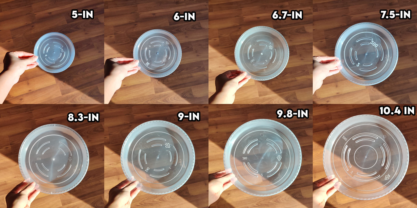 comparison of 8 sizes of plant pot saucers