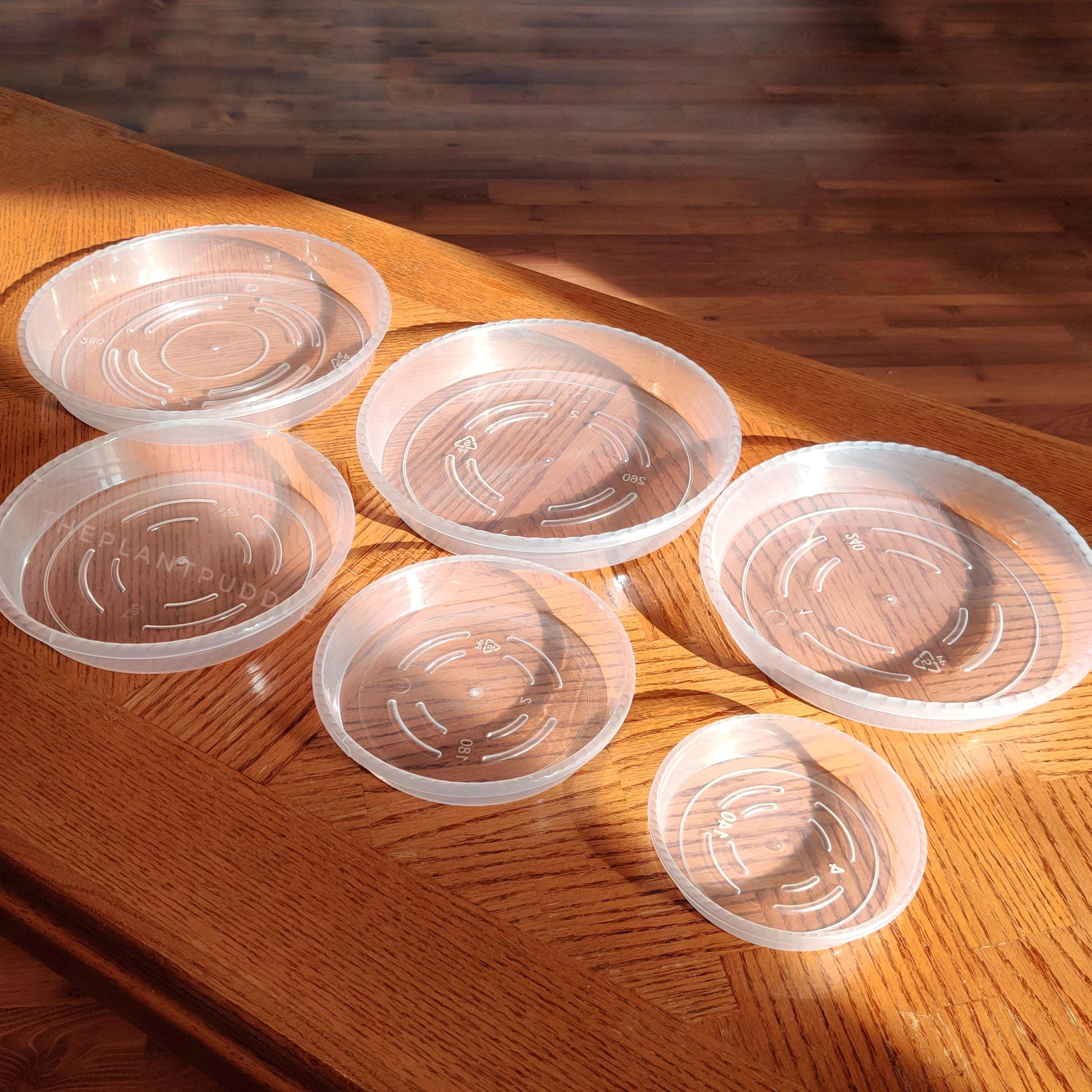 6 sizes of clear plastic plant pot saucers