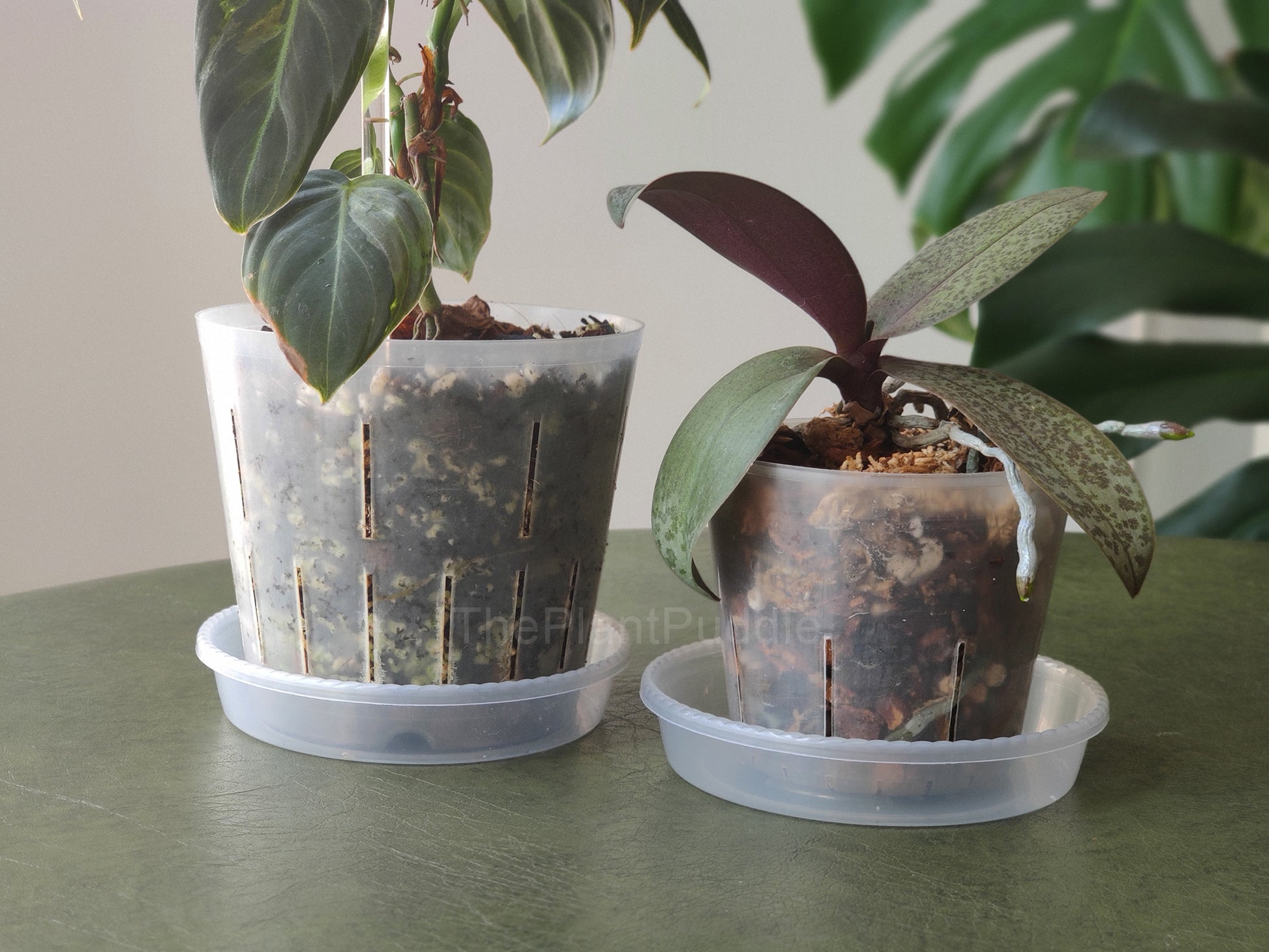round plant drip saucers used with flexible orchid pots