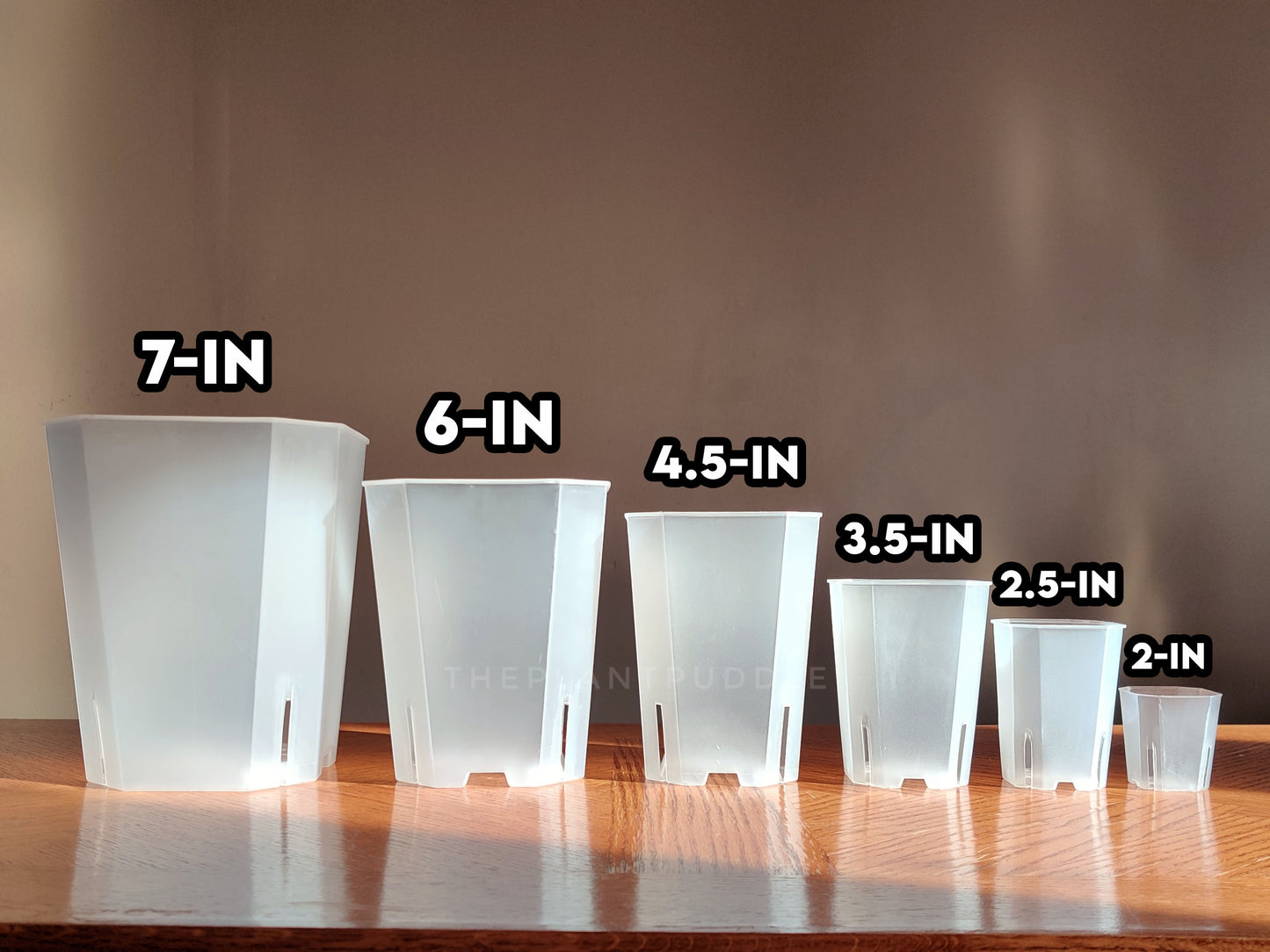6 sizes of square clear pots lined up with size of opening displayed overhead