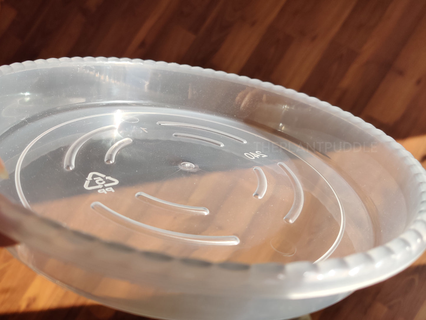 closeup of clear plastic plant pot saucer raised center