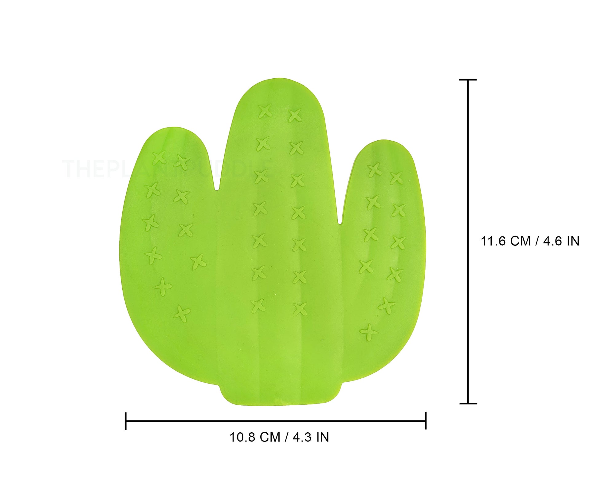 dimensions of cactus coaster