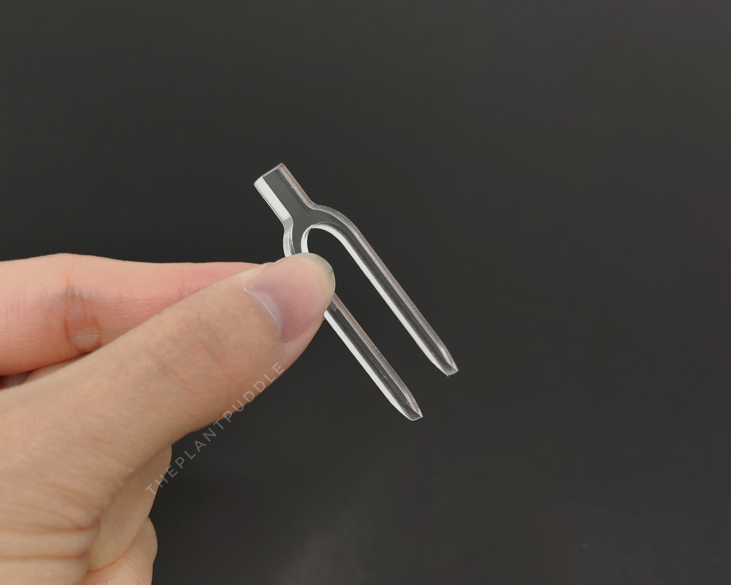 side view of transparent acrylic propagation pin