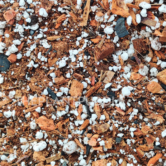 full image of a chunky aroid potting mix