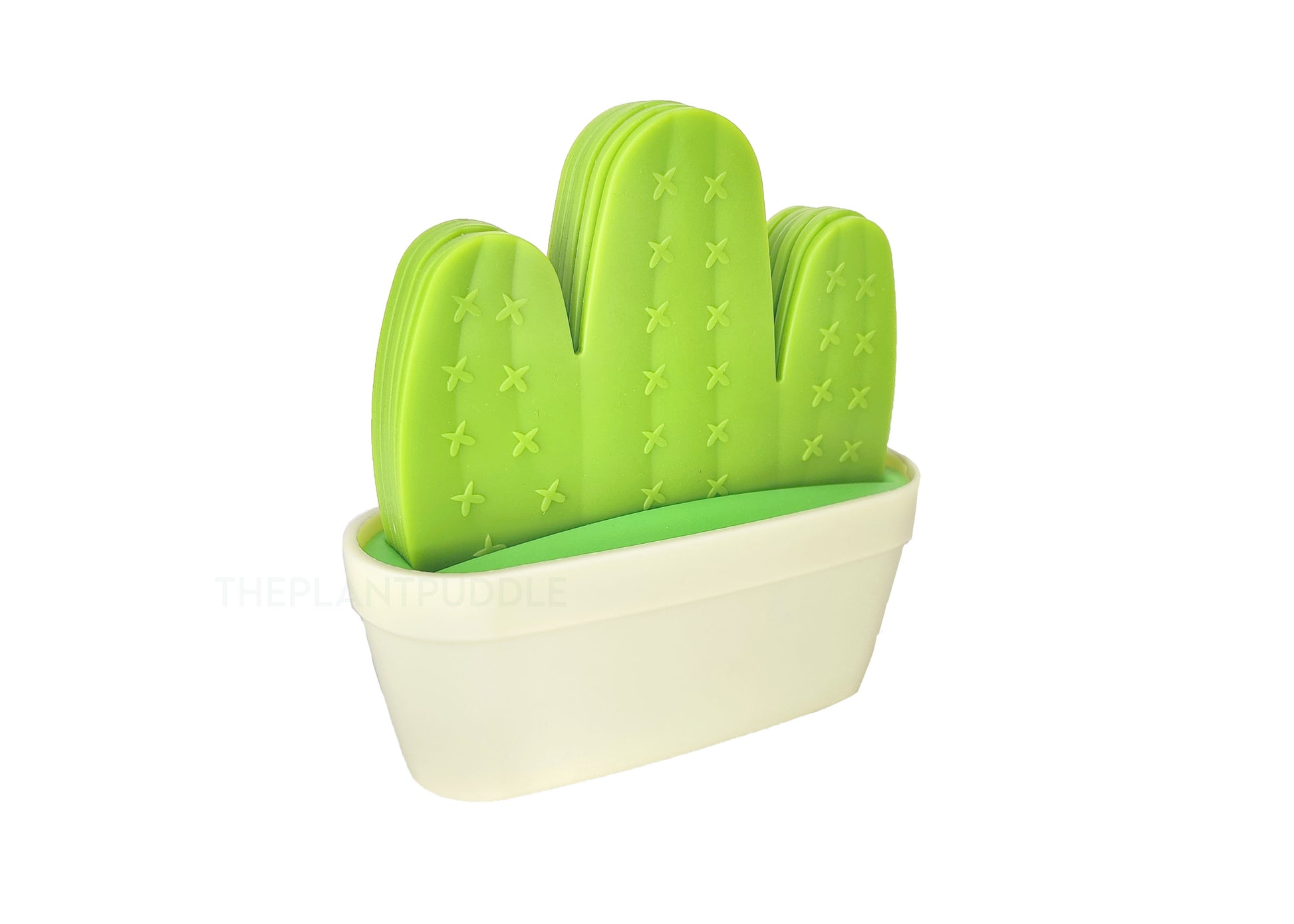 6 cactus coasters inside pot style holder