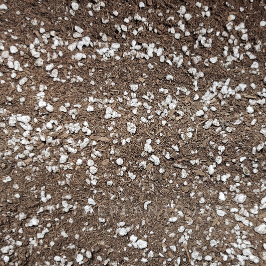 blend of peat and perlite, a mix for carnivore plants