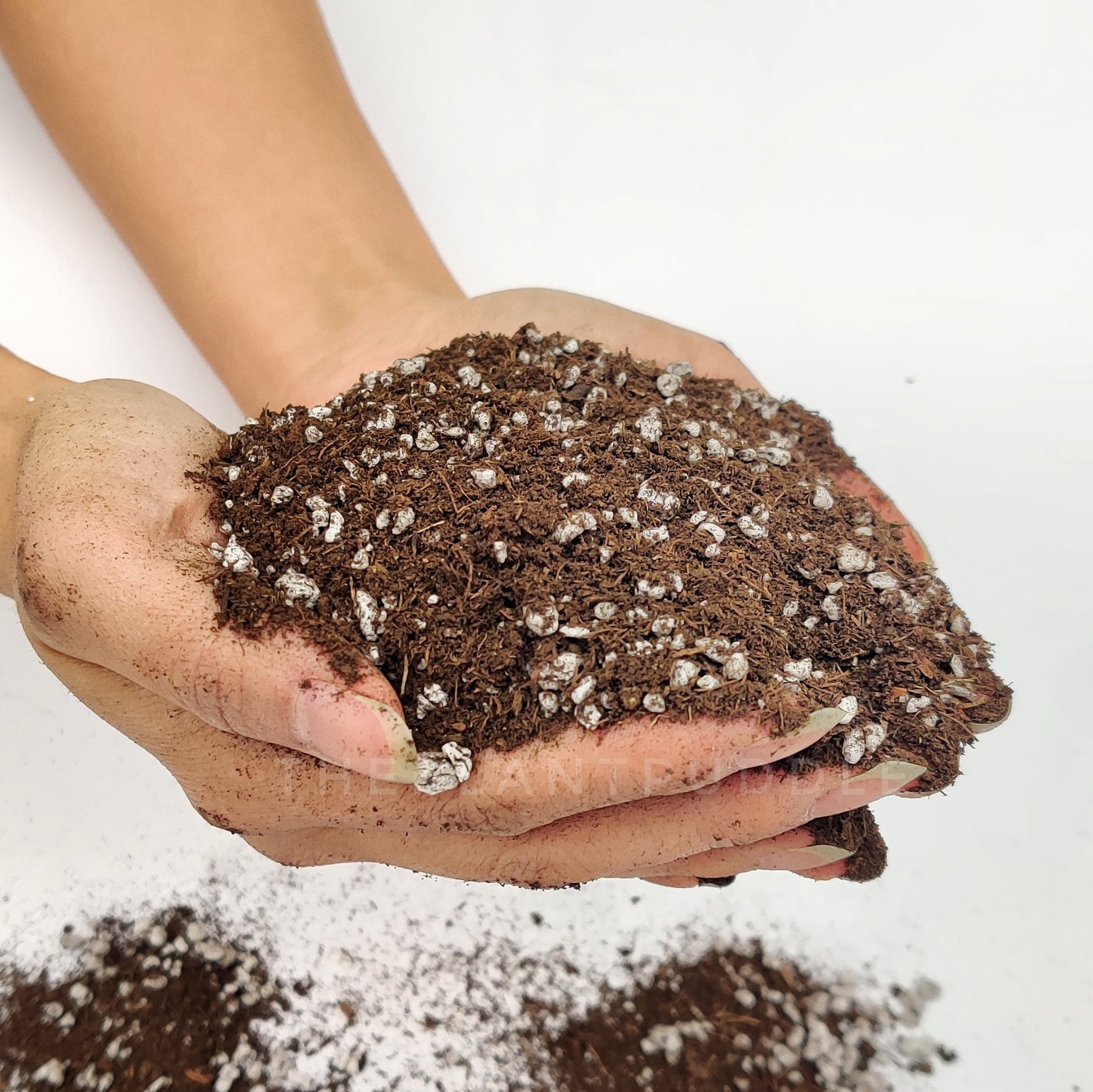 blend of peat and perlite in hand