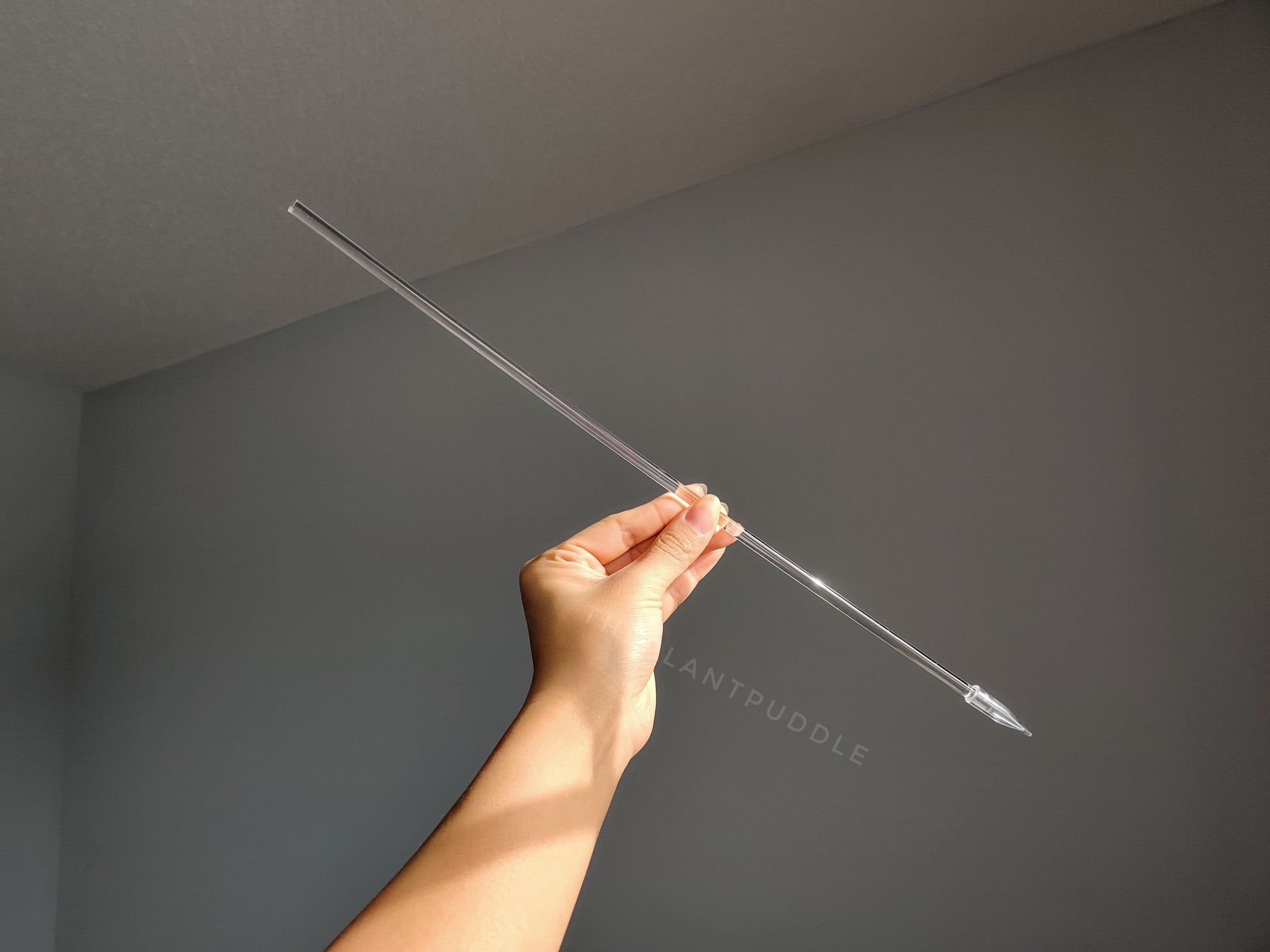 a single clear plant stake held in hand