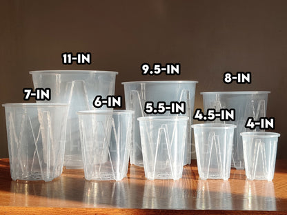8 sizes of tall clear pots with opening measurement displayed overhead