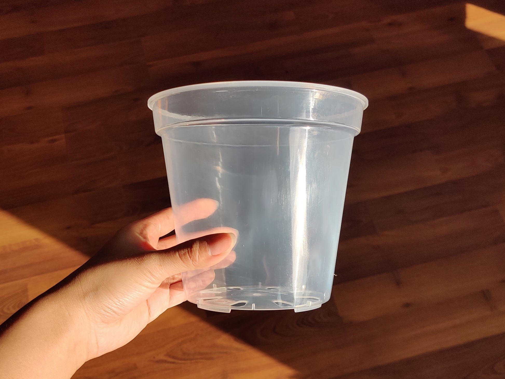 hand holding a medium sized clear planter