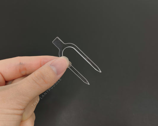clear acrylic pin with 2 points for securing plants
