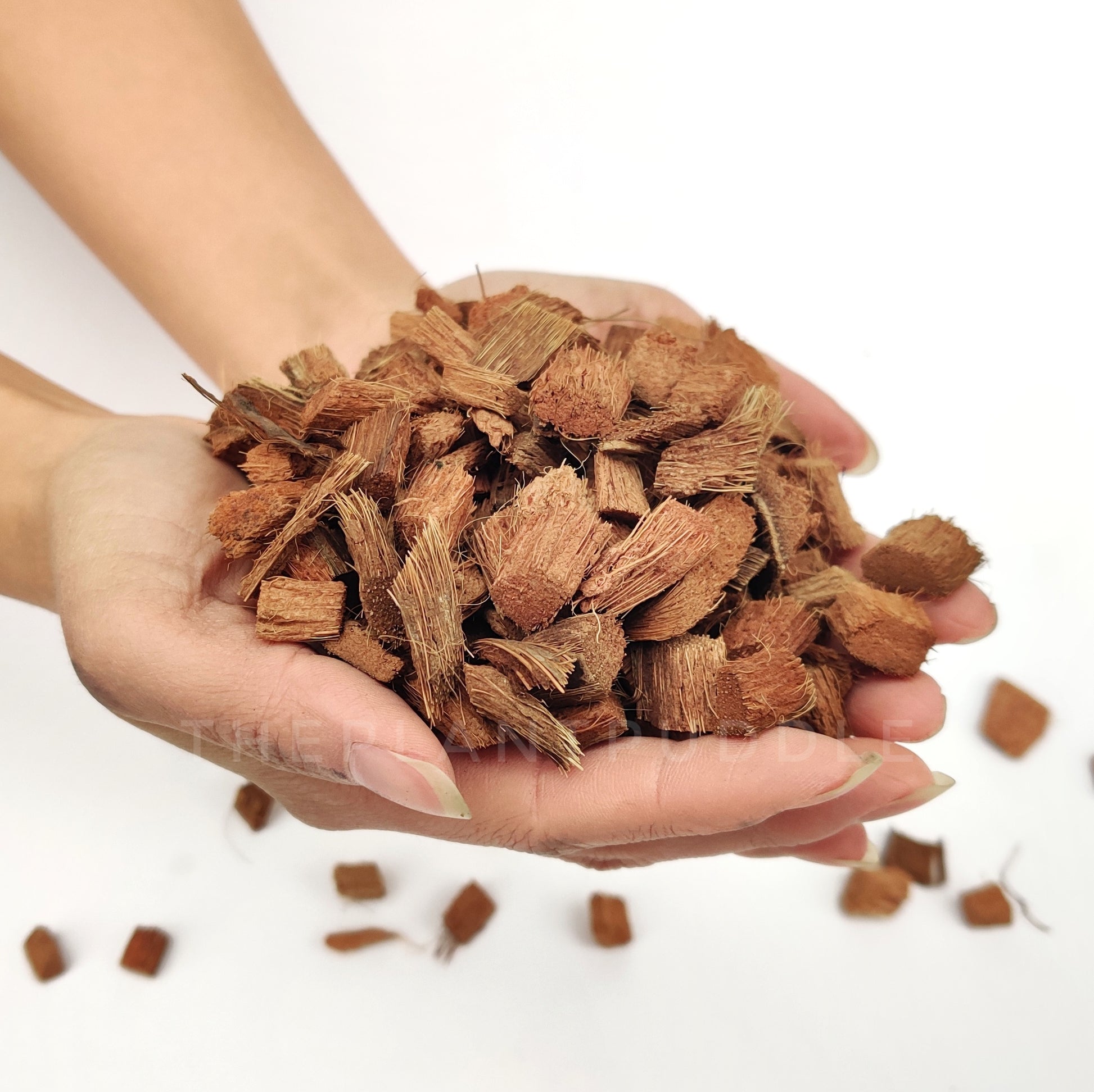 coconut husk chips held in hand