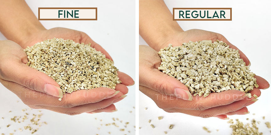 comparison of fine and regular vermiculite in hands
