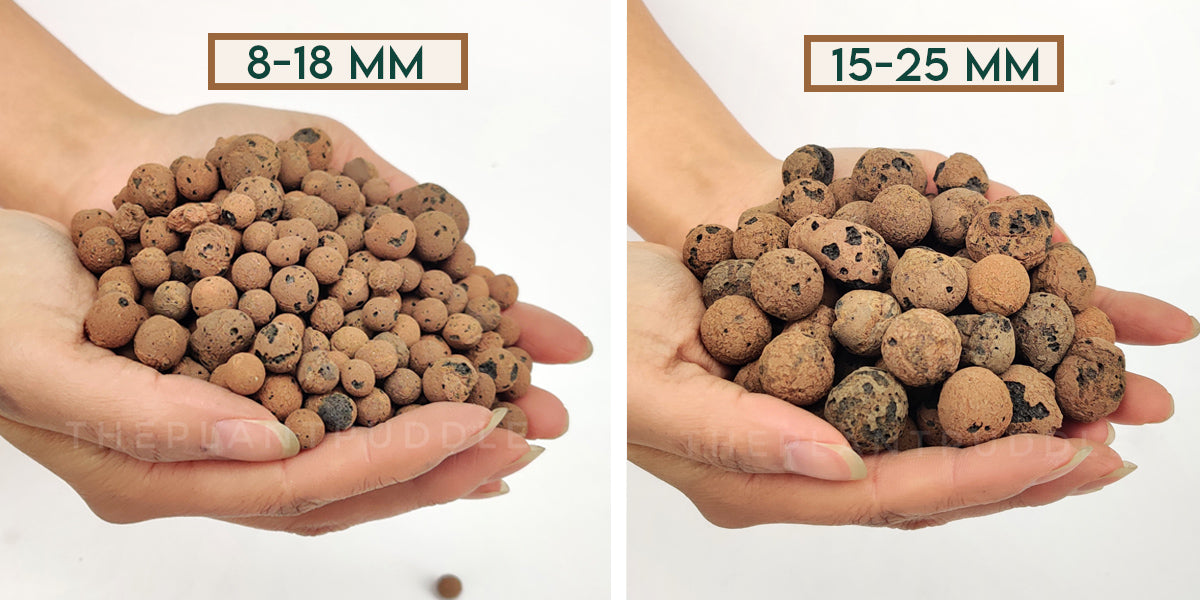 comparison of 8-18mm and 15-25mm leca held in hand