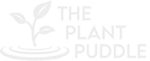 The Plant Puddle