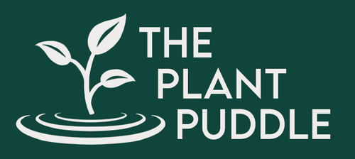 The Plant Puddle