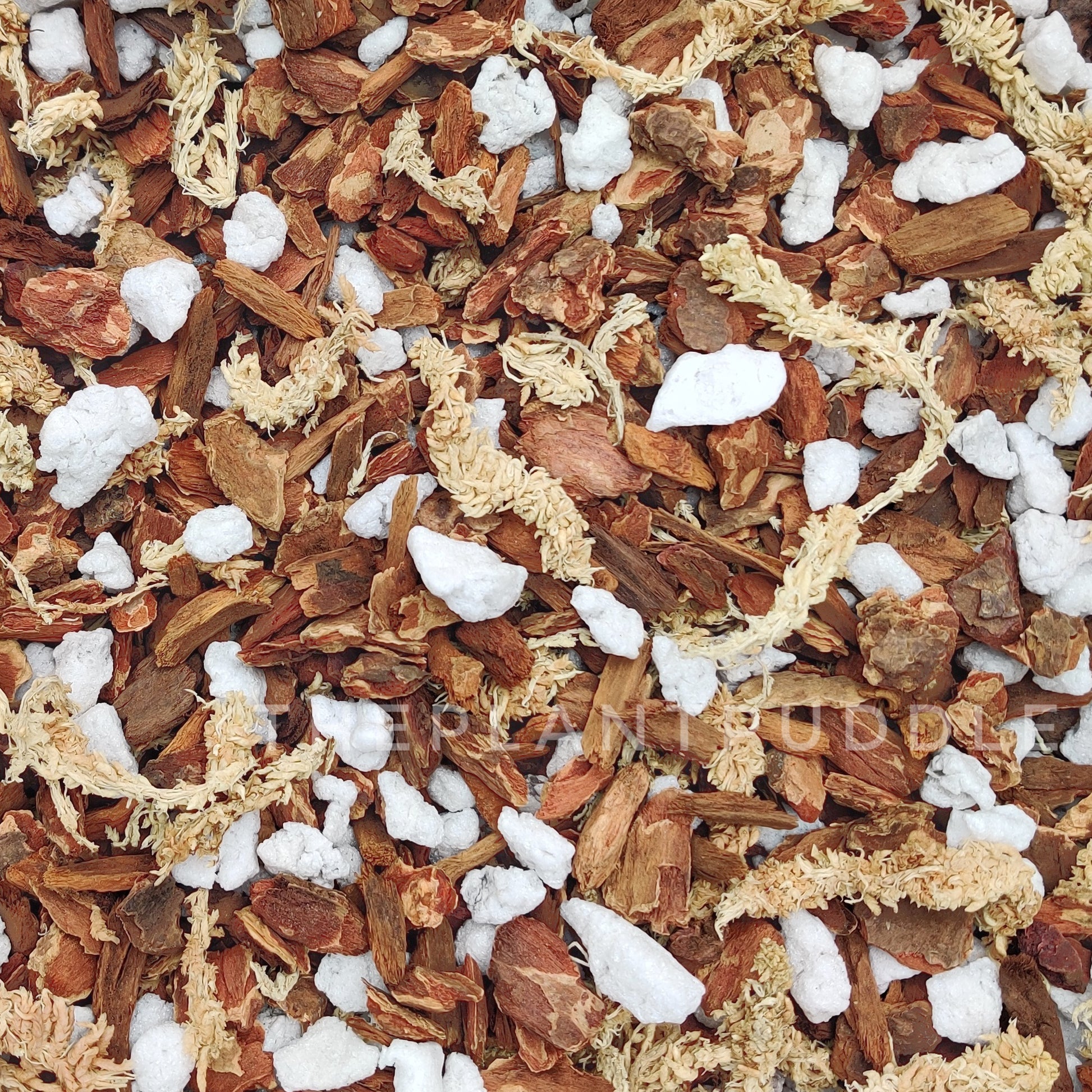 homemade potting mix for orchids Orchid Potting Mix