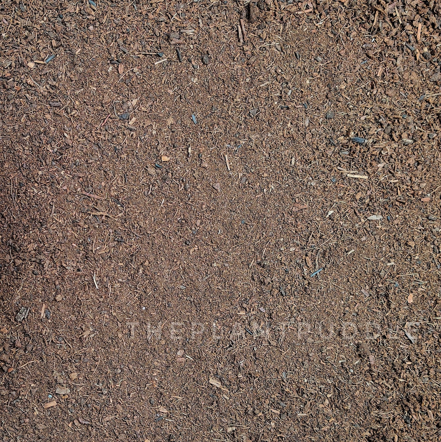 full image of fine peat moss