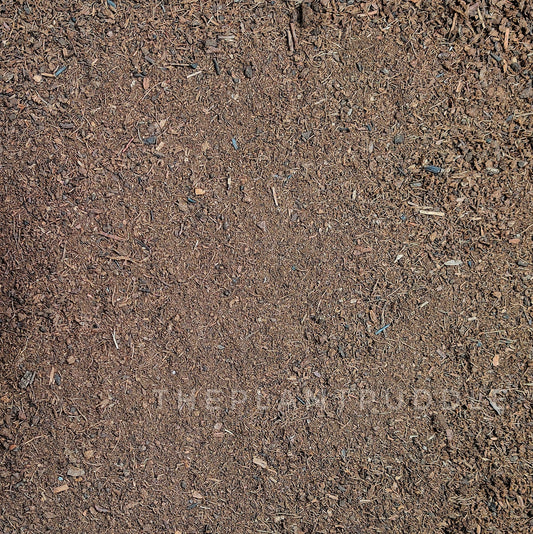 full image of fine peat moss
