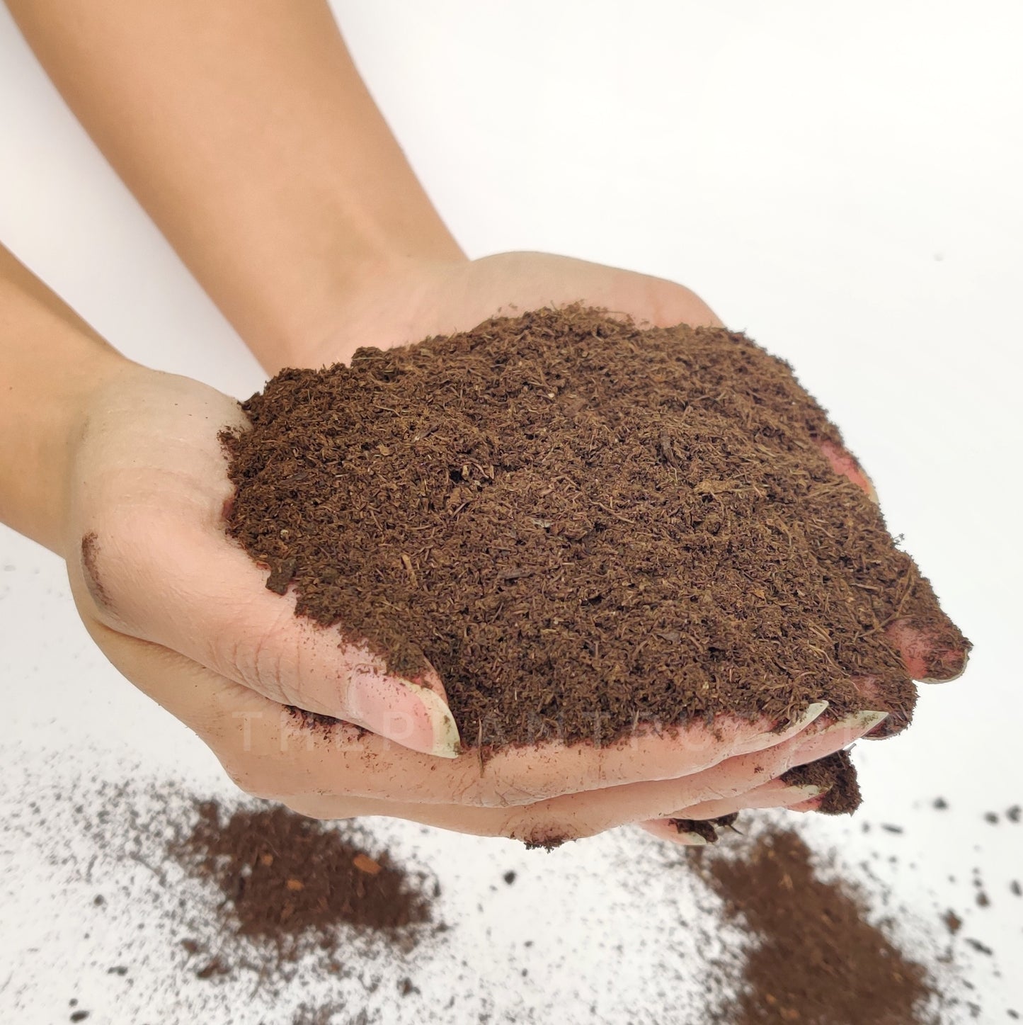 fine peat moss held in hand