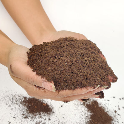 fine peat moss held in hand