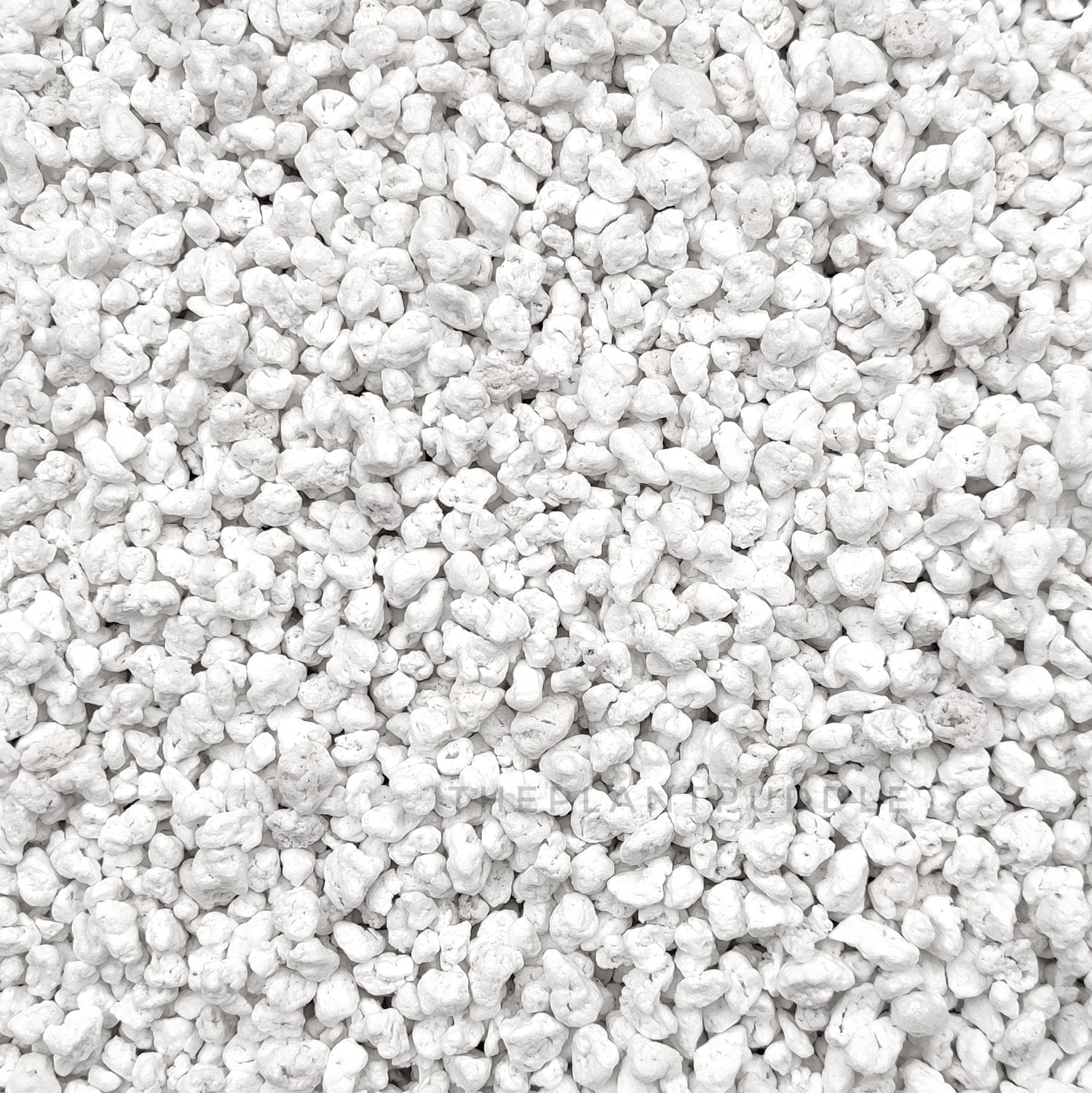 full image of medium-coarse perlite