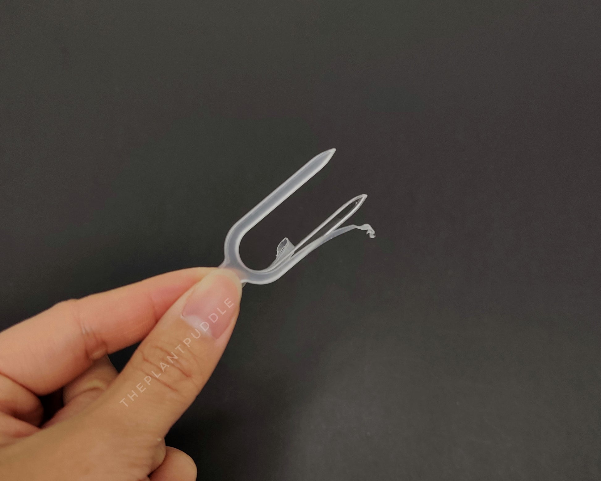 clear acrylic propagation pin showing the peeling protective film