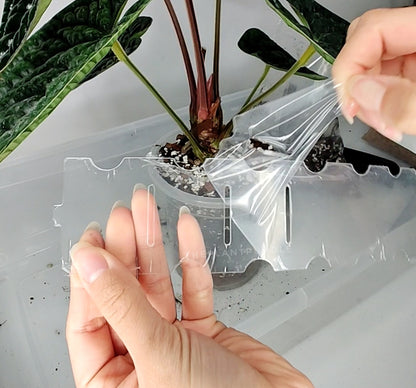 protective film being removed from a transparent plastic pot extender