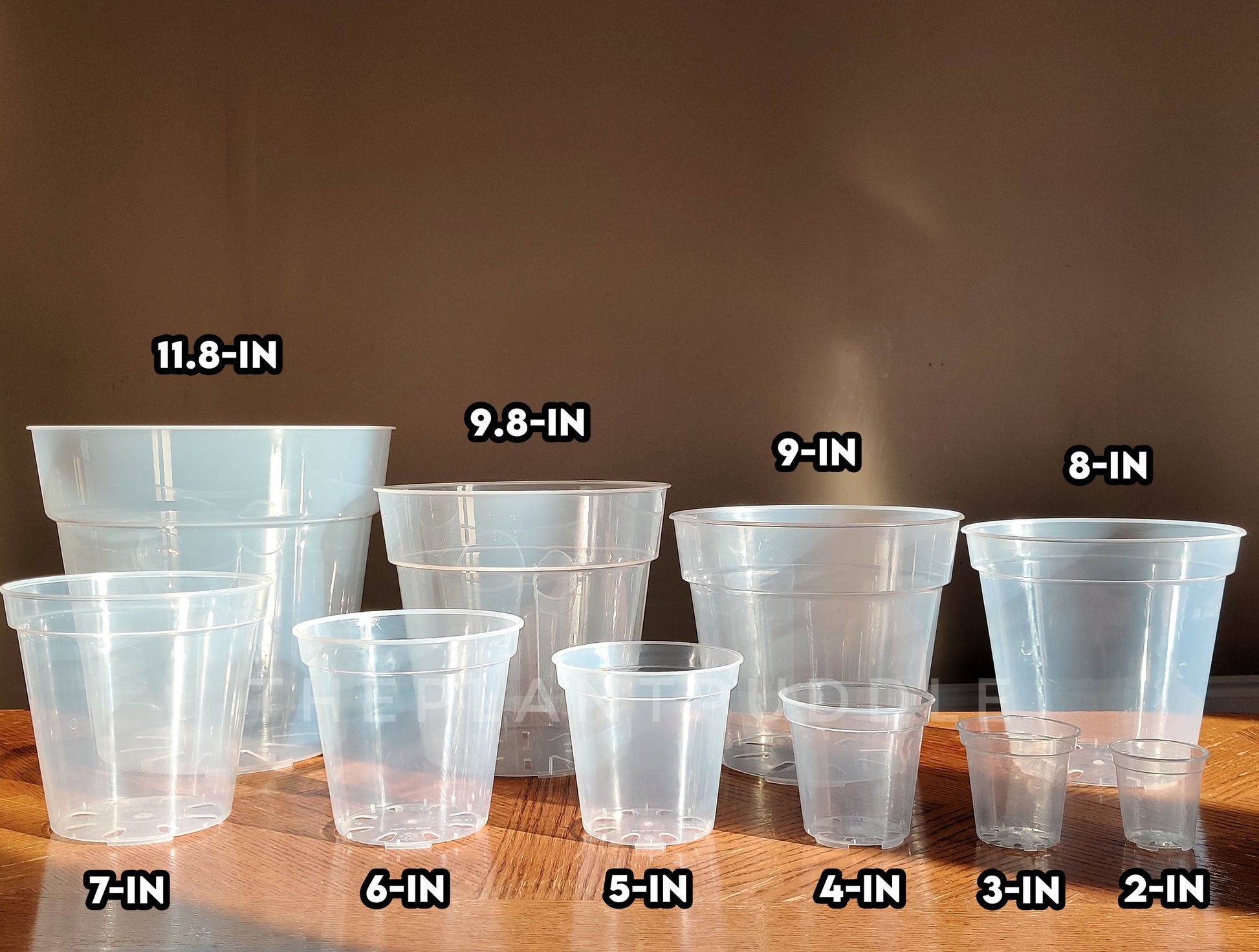 10 sizes of round clear plant pots lined up showing opening measurement