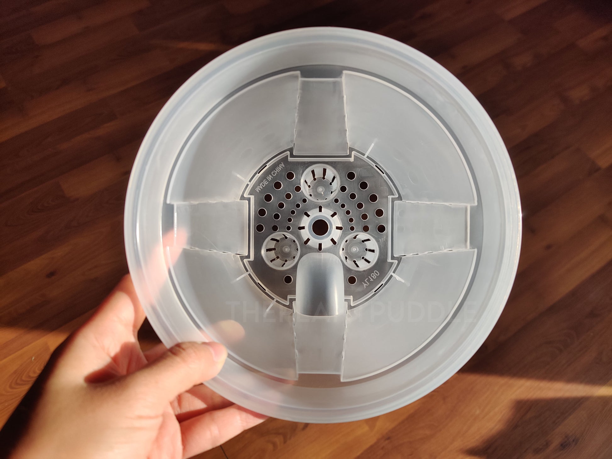 view of inside the transparent self watering pot for houseplants