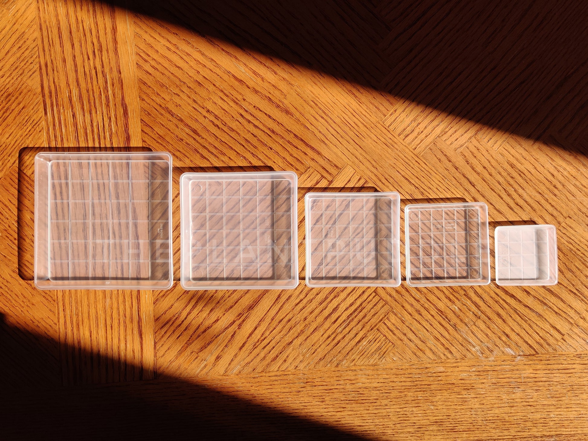 square plant pot saucers 5 sizes lined up