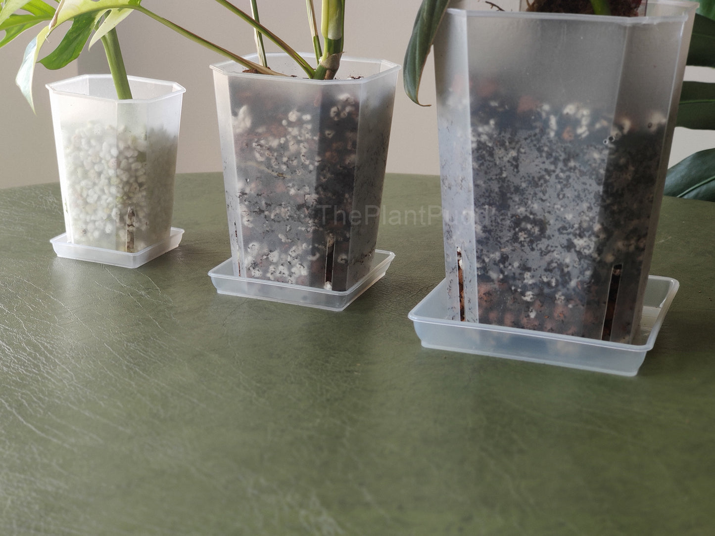 2 sizes of square drip saucers used with 3 square plant pots