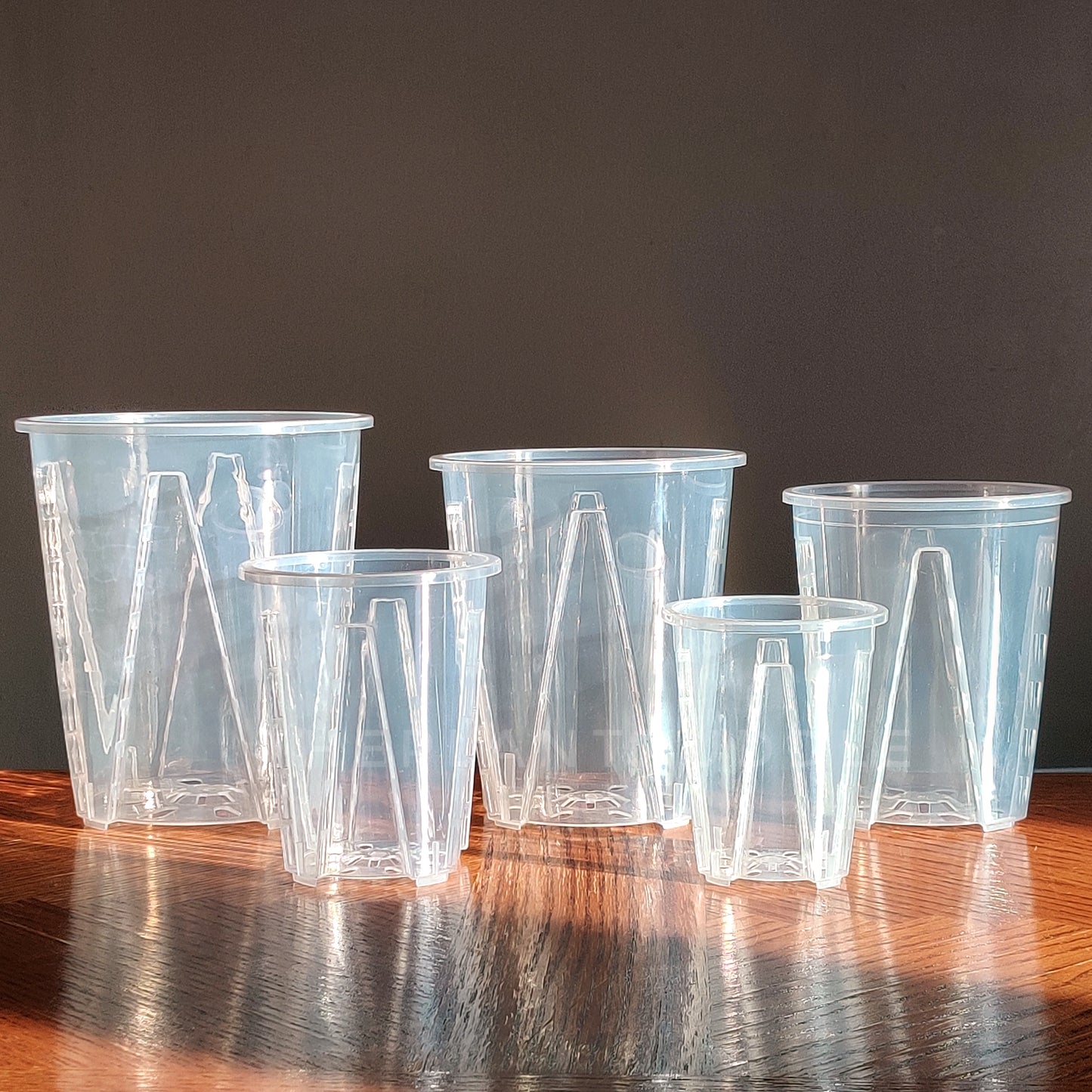 5 sizes of clear tall plant pots