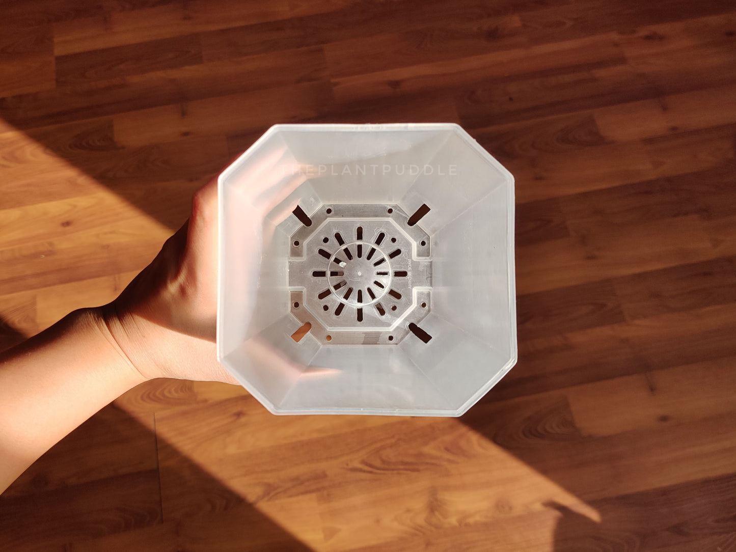 view of inside a square plant pot