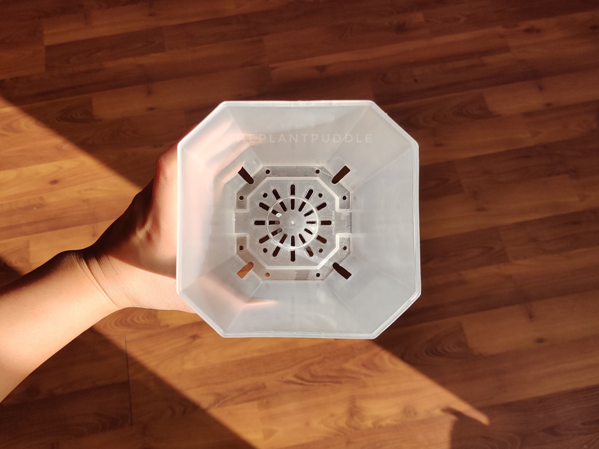 view of inside a square plant pot