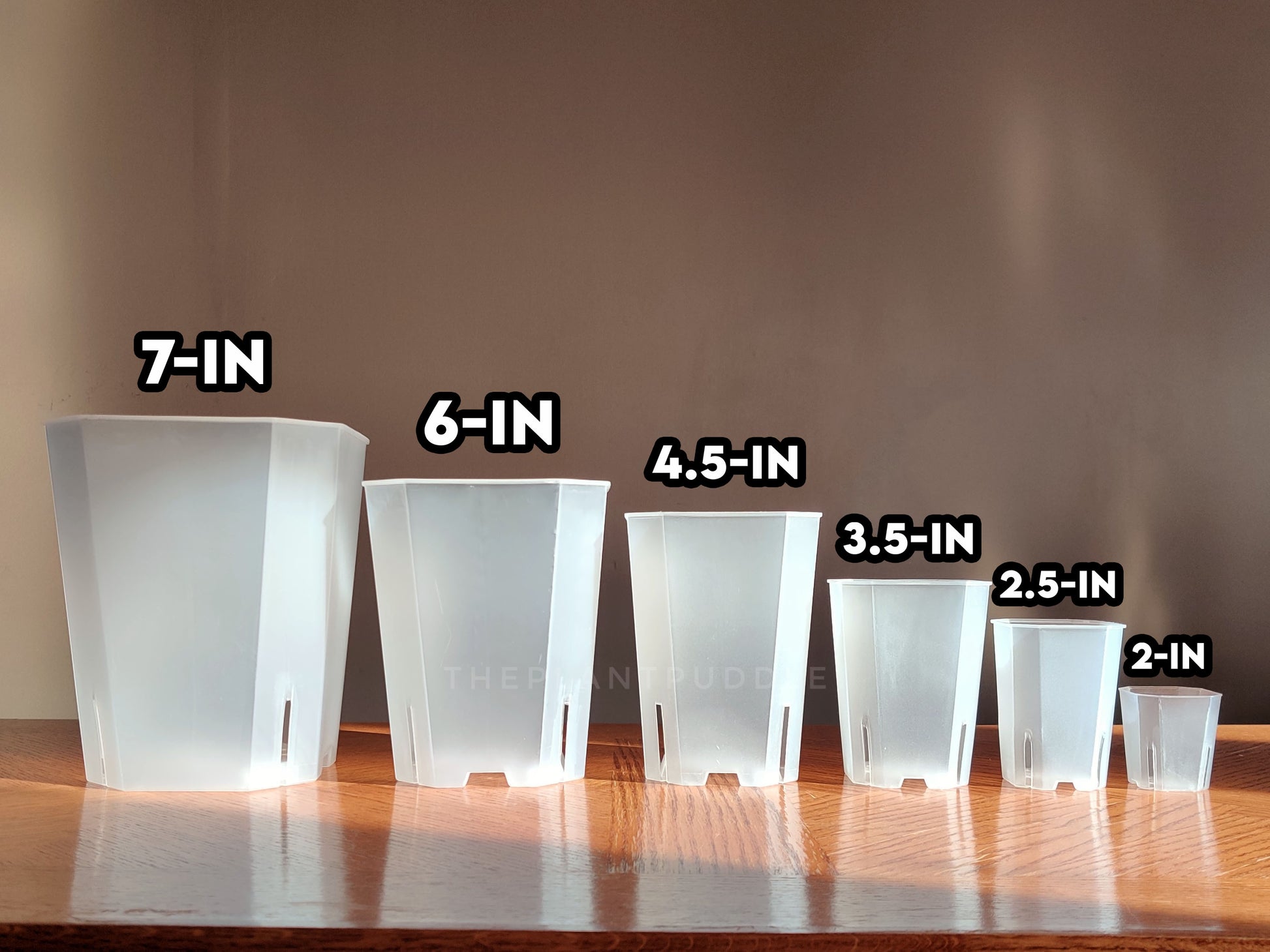 6 sizes of square clear pots lined up with size of opening displayed overhead