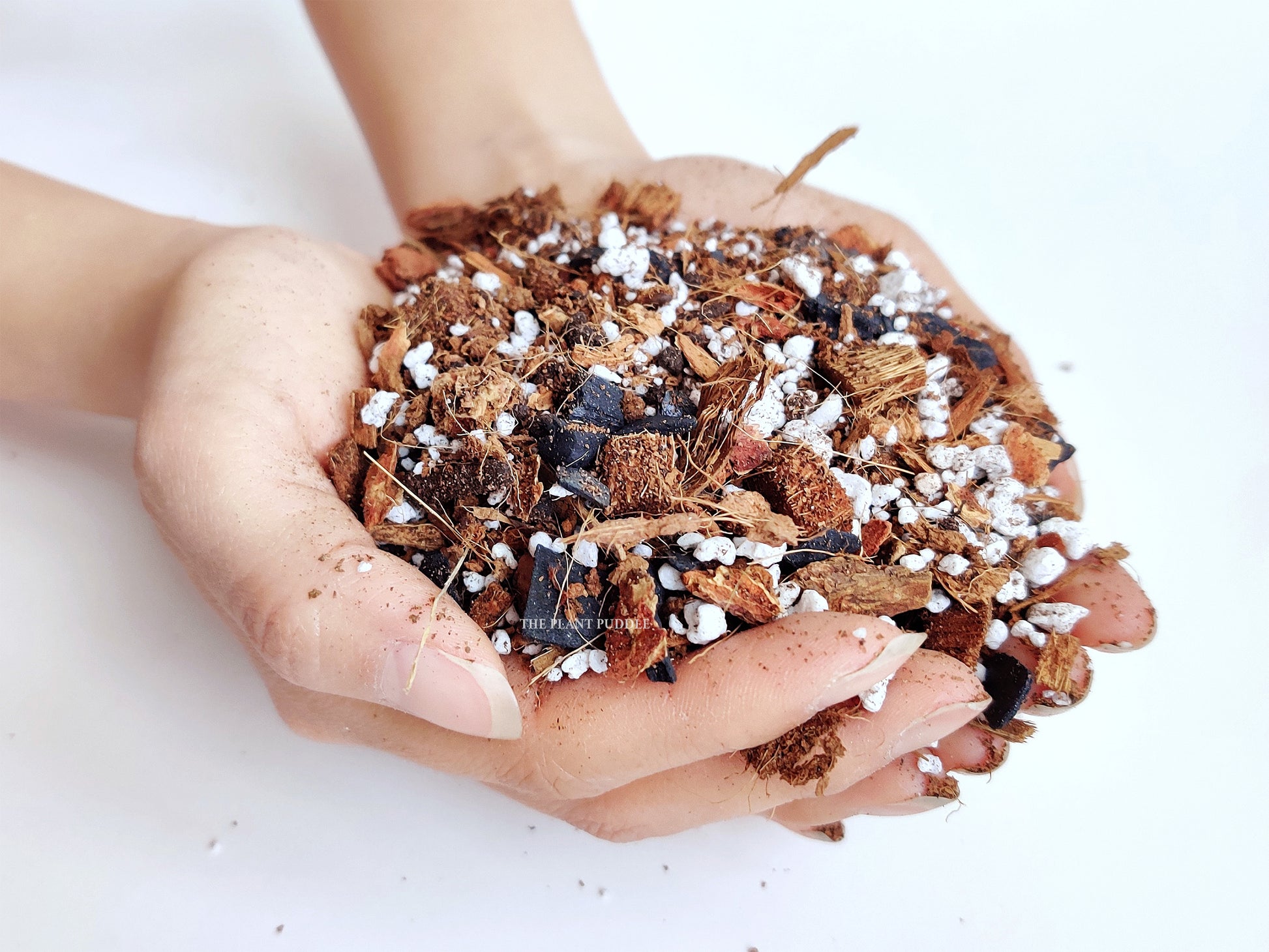 potting mix for aroids Aroid Potting Mix