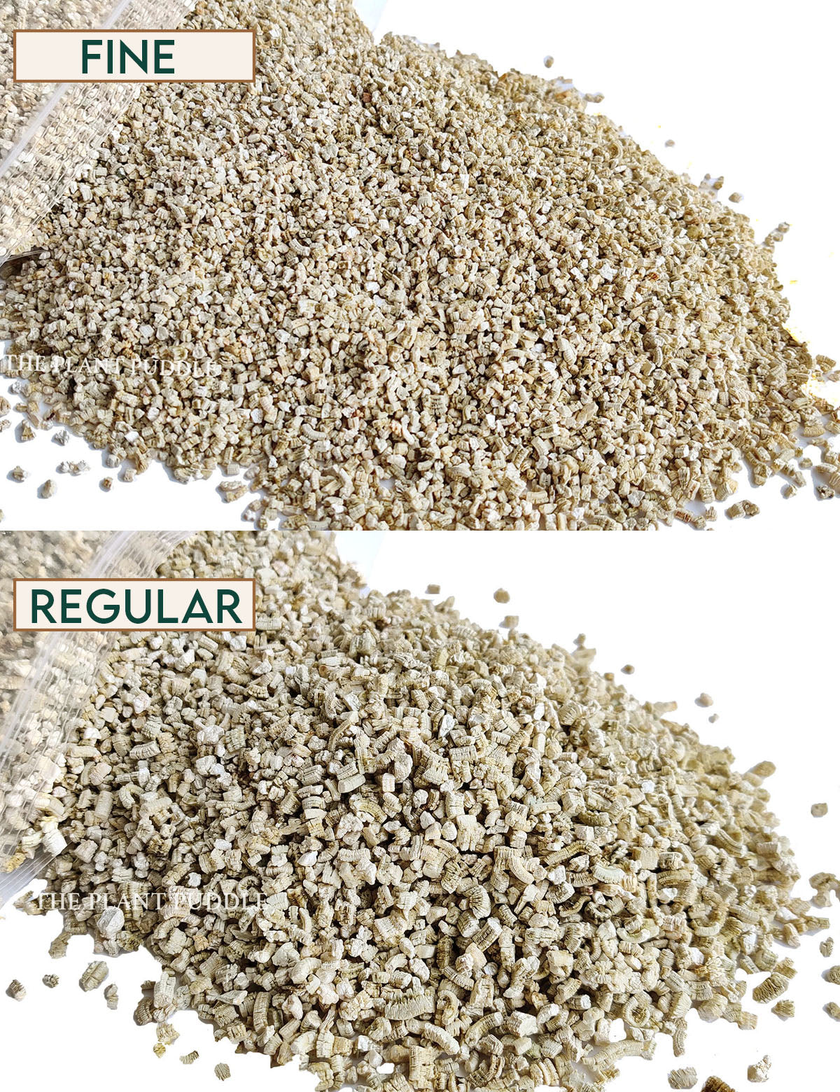 comparison of fine and regular vermiculite